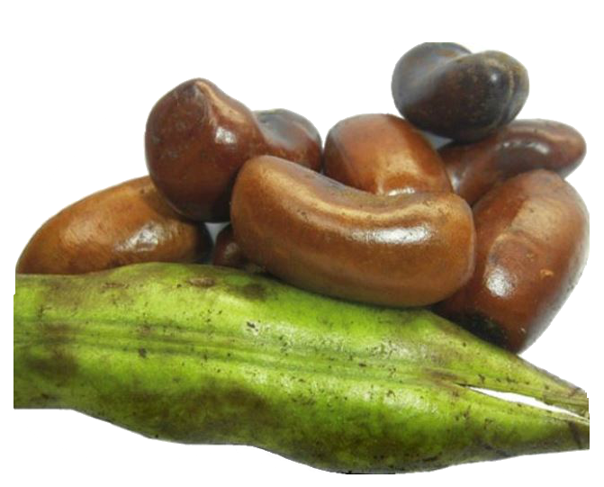 Chachafruto