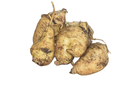 Arracacha