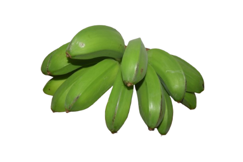 Cachacos