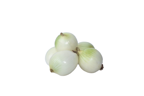 Cebolla blanca
