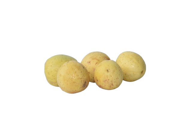 Guayaba