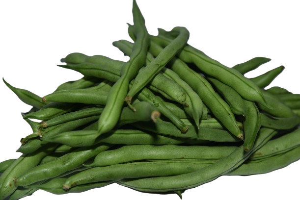 Habichuela