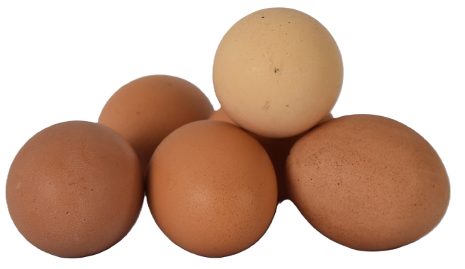 Huevos