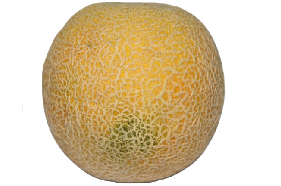 Melón