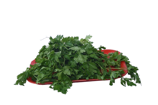 Perejil