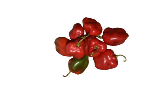 Pimentón Criollo