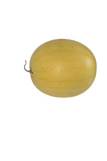 Sandia