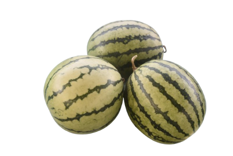 Sandia