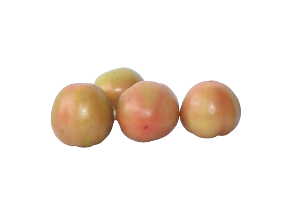 Tomate larga vida