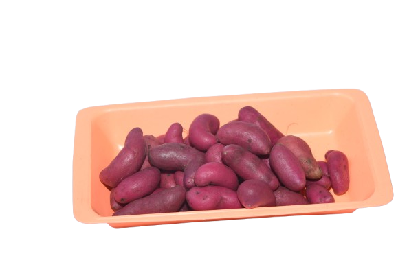 Oyucos